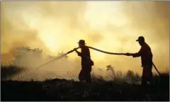  ?? ABDUL QODIR/AFP ?? Indonesian firefighte­rs battle a blaze at a peatland forest in Ogan Ilir, South Sumatra.