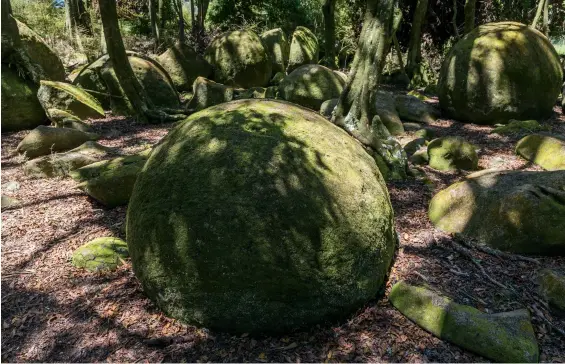  ??  ?? The Whitecliff­s Boulders are a natural wonder said to be millions of years old. The moss- covered cylindrica­l boulders of mud stone are clustered in a native woodland, a magical, intriguing place. Although on private land, access is obtained for a small fee at the carpark off Otara Road, Ohingaiti.