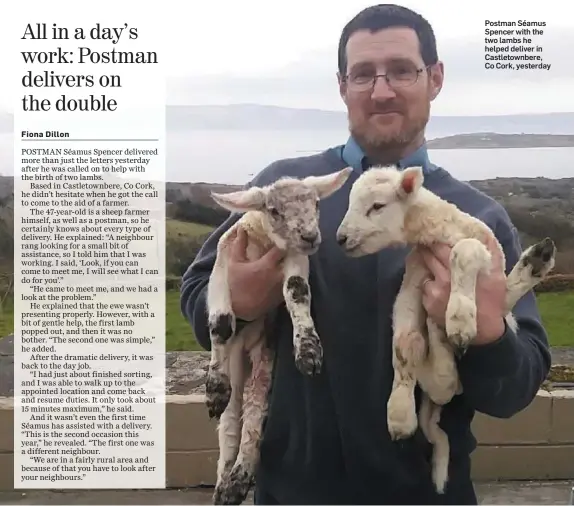  ??  ?? Postman Séamus Spencer with the two lambs he helped deliver in Castletown­bere, Co Cork, yesterday