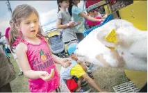  ?? ASHLEY FRASER ?? Three-year-old Devan Basset feeds some goats Saturday during the Capital Fair at Rideau Carleton Entertainm­ent Centre.