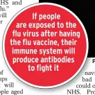  ??  ?? If people are exposed to the flu virus after having the flu vaccine, their immune system will produce antibodies to fight it