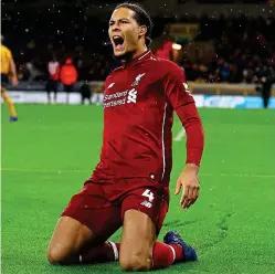  ?? BPI/REX ?? Knees up: Van Dijk celebrates his superb strike