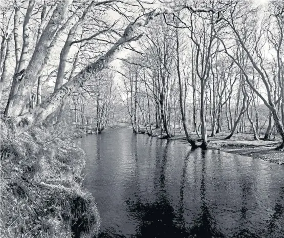  ??  ?? MONOCHROME: A black and white photograph of the River Earn taken by Philip Braham, which forms part of his exhibition.
