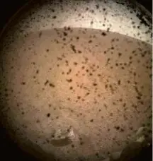  ?? JPL-Caltech/Nasa ?? Primeira fotografia feita pela sonda InSight, da Nasa, após pouso bem-sucedido em Marte