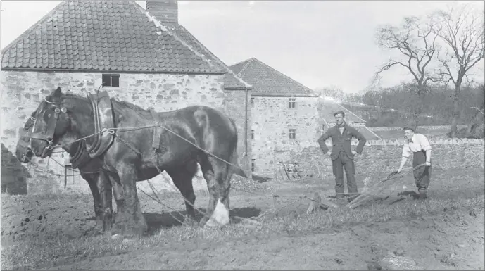  ?? ?? A photograph of two men ploughing a field with two horses. One man is directing the plough while the other is standing watching proceeding­s