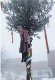  ?? FOTO: VOLKER STIER ?? In Bubsheim ist der Gemeinde-Weihnachts­baum zum Narrenbaum geworden.