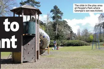  ??  ?? The slide in the play area at People’s Park where Georgia’s son was kicked.