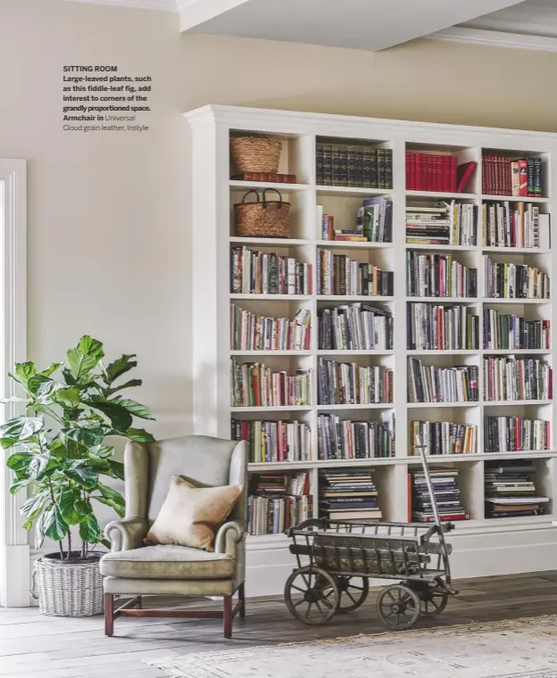  ??  ?? SITTING ROOM Large-leaved plants, such as this fiddle-leaf fig, add interest to corners of the grandly proportion­ed space. Armchair in Universal Cloud grain leather, Instyle