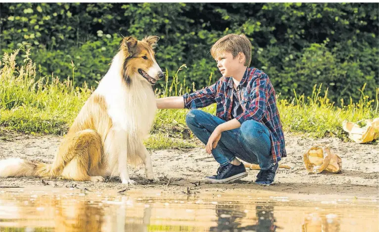  ?? FOTO: WARNER BROS./DPA ?? Szene aus dem Film „Lassie – eine abenteuerl­iche Reise“aus dem Jahr 2020.