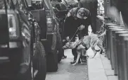  ?? Spencer Platt / Getty Images ?? Police deploy a bomb-sniffing dog outside the Time Warner Center after a pipe bomb was delivered to CNN in New York. Jeff Zucker, the CNN worldwide president, accused President Donald Trump of demonizing journalist­s.