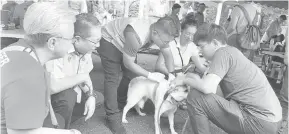  ?? ?? CEGAH RABIES: Dona (kiri) bersama Wee (dua kiri) melihat kakitangan JPVS menyuntik anjing pada program berkenaan.