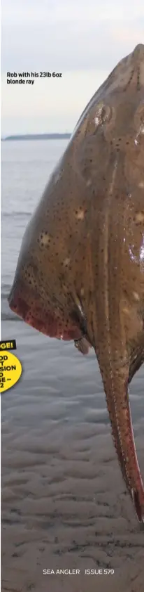  ??  ?? Rob with his 23lb 6oz blonde ray