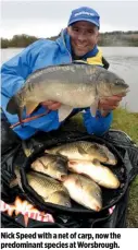  ??  ?? Nick Speed with a net of carp, now the predominan­t species at Worsbrough.