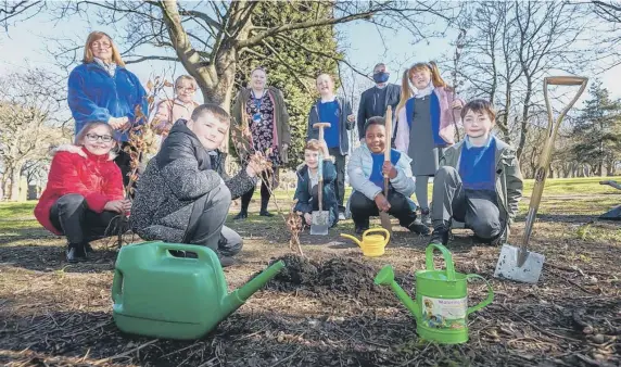  ??  ?? Southwick Community Primary School pupils planting trees at Southwick Cemetery.