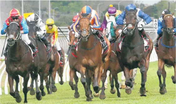  ??  ?? Stablemate and race rival Chance To Dance (centre) could be a chance to join Gingernuts in Australia.