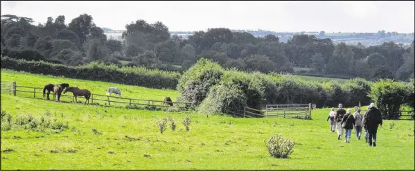  ?? PHOTOS FOR THE WASHINGTON POST BY NANCY NATHAN. ?? Classic Journeys walking tour group crosses pasture overlookin­g Cotswolds village of Adlestrop, England, which Jane Austen memorializ­ed in her novel Mansfield Park.