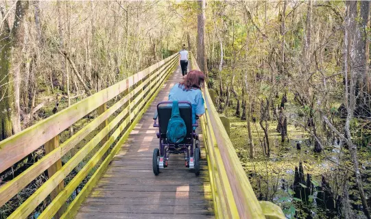  ?? TODD ANDERSON/THE NEW YORK TIMES 2021 ?? Vickie Boyer on the boardwalk trail Dec. 3 at Lettuce Lake Conservati­on Park in Tampa.