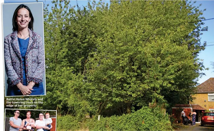  ??  ?? Battle: Helen Whately and the towering trees on the edge of her property