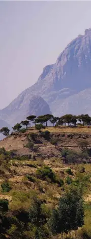  ??  ?? Right: We get our first glimpse of the Adwa mountains at around the 60km mark