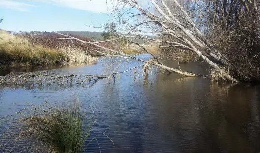  ??  ?? Mulloon Creek running on Tony Coote’s section at Bungendore, NSW.