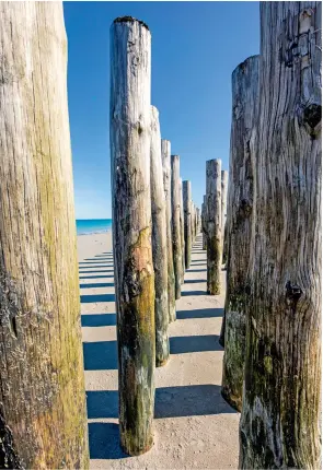  ??  ?? Des brise-lames, poteaux en bois plantés sur les plages de l’ouest de l’île de Noirmoutie­r pour freiner les vagues, finissent par ployer à cause de la vigueur des tourments de l’océan.