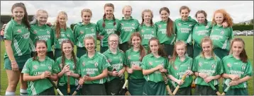  ??  ?? The Cloughbawn crew who were beaten by Kilrush in the recent Under-14 Premier camogie final.