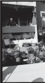  ?? ?? Žena uređuje svoj krovni vrt na Alipašinom