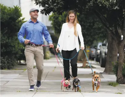  ?? Photos by Paul Chinn / The Chronicle ?? Alex Farr and Mara Nicole walk Luna, Rocco and Enzo in their neighborho­od in San Francisco’s Noe Valley.