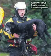  ??  ?? PAW PATROLS Dog is rescued from rising water