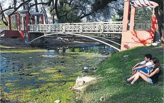  ?? (NICOLÁS BRAVO) ?? Verde. Hace pocas semanas, una cosechador­a de algas había limpiado el espejo de agua. Pero todo volvió a ensuciarse.