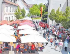  ?? FOTO: ST.-ELISABETH-STIFTUNG ?? Zahlreiche Besucher haben den Weg zum Sommerfest nach Heggbach gefunden.