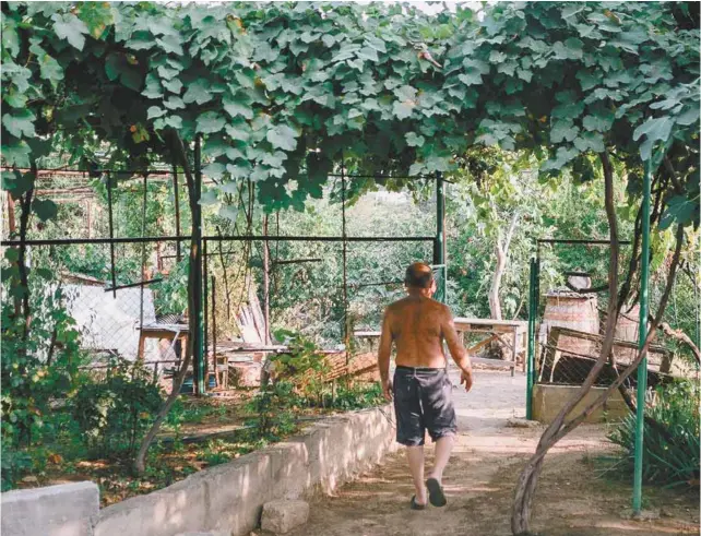  ?? PHOTOS ADIL BOUKIND / HANS LUCAS ?? Si vous avez l’occasion d’être invité chez des locaux, les chances sont bonnes qu’on vous emmène voir les vignes dans le jardin, le matériel de distillati­on dans le garage et qu’on lève son verre à votre santé autant de fois qu’il en faut pour que vous...