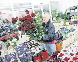  ?? Quique García / EFE ?? Un mayorista preparando las flores ayer, en Mercabarna-flor