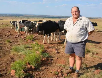  ??  ?? Anthony Khourie examines the springing heifers at the 2,000 hectare Bospardys Farm near Pretoria
