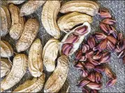  ?? SOUTHERN EXPOSURE SEED EXCHANGE VIA THE NEW YORK TIMES ?? Peanut seeds have been in the Southern Exposure catalog for years. The Fastigiata Pin Striped variety has large, wavy pods, and nuts with orange skins marked with purple when dried.