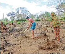  ??  ?? File picture of a farming couple in Sri Lanka