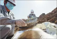  ?? ZHANG XIUKE / FOR CHINA DAILY ?? Technician­s from the research academy of environmen­tal sciences in the Xinjiang Uygur autonomous region take samples from polluted soil in Urumqi.