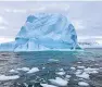  ??  ?? Seals and icebergs were just some of the sights Dr Christie encountere­d during her Antarctic voyage.