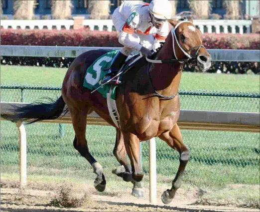  ?? CHURCHILL DOWNS/COADY PHOTOGRAPH­Y ?? Mia Mischief, a daughter of Into Mischief, earns a Beyer Figure of 90 in winning an optional claimer at Churchill in November.