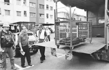  ??  ?? Dr Adrian (second left) looks at a dog put in a cage at Taman Dahlia by the councils’ dog catchers.