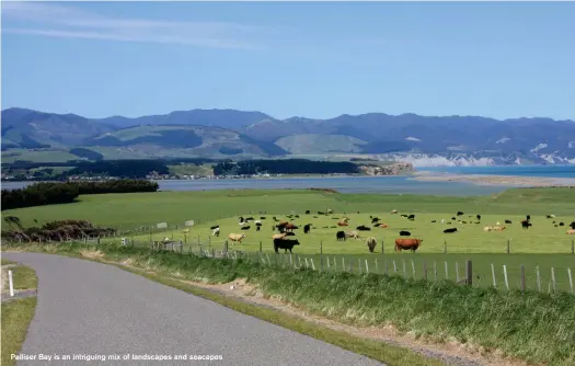  ??  ?? Palliser Bay is an intriguing mix of landscapes and seacapes