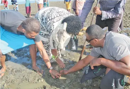  ??  ?? Western Youth Empire members assist the women of Viseisei Village in Vuda, Lautoka plant mangrove seedlings in the commemorat­ion of the Internatio­nal Day for the Conservati­on of the Mangrove Ecosystem.
