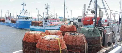  ?? ?? Flotte de crabiers au port de Shippagan.
