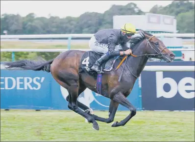  ?? PICTURE: PA ?? KEEP THE FAITH: Trainer Ed Walker says he still believes in English King and could run him in next month’s Doncaster St Leger.