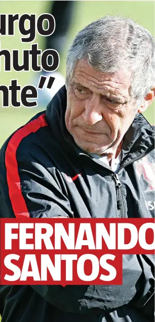  ??  ?? FERNANDO SANTOS