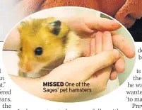  ??  ?? MISSED One of the Sages’ pet hamsters