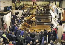  ??  ?? The sales ring at Gortatlea Mart.