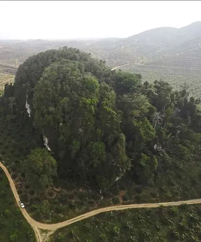  ??  ?? 1 These tree- clad limestone karsts are the only remaining wild areas in Chiku but they may soon be quarried for cement production. — MoHd FaIZal SHauPI