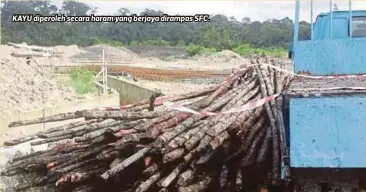  ??  ?? KAYU diperoleh secara haram yang berjaya dirampas SFC.