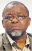  ??  ?? GWEDE MANTASHE